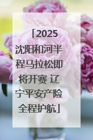 2025沈阳和河半程马拉松即将开赛 辽宁平安产险全程护航