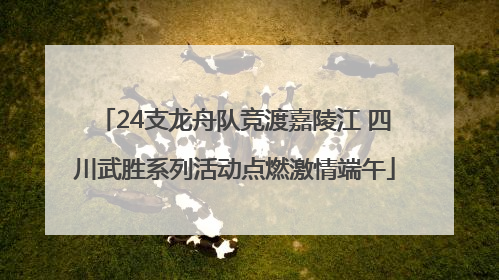 24支龙舟队竞渡嘉陵江 四川武胜系列活动点燃激情端午