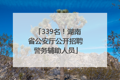 339名！湖南省公安厅公开招聘警务辅助人员