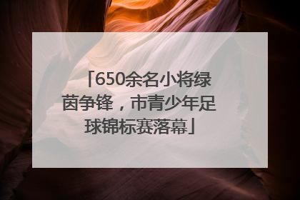 650余名小将绿茵争锋，市青少年足球锦标赛落幕