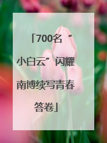 700名“小白云”闪耀南博续写青春答卷