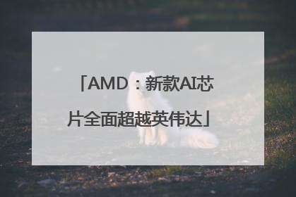AMD：新款AI芯片全面超越英伟达