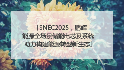 SNEC2025，鹏辉能源全场景储能电芯及系统助力构建能源转型新生态